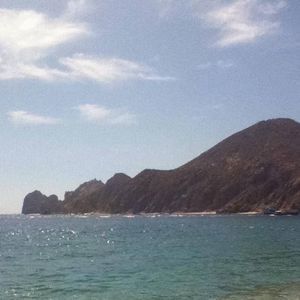 Meet your Posher, Liz